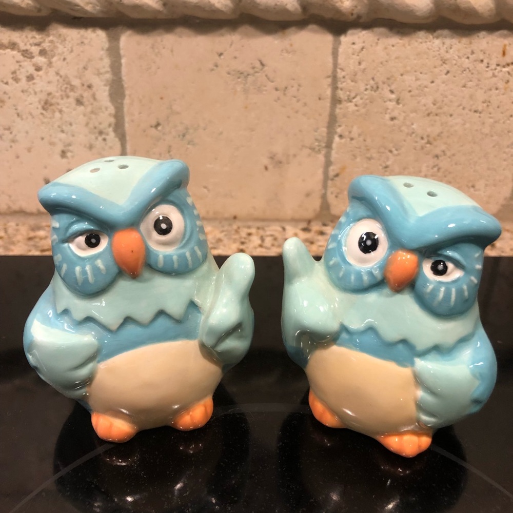 Owls Salt and pepper shakers.
